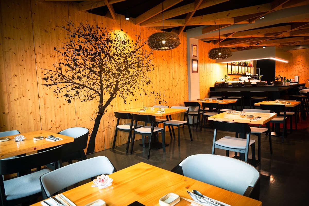 Satori Fusion Restaurant