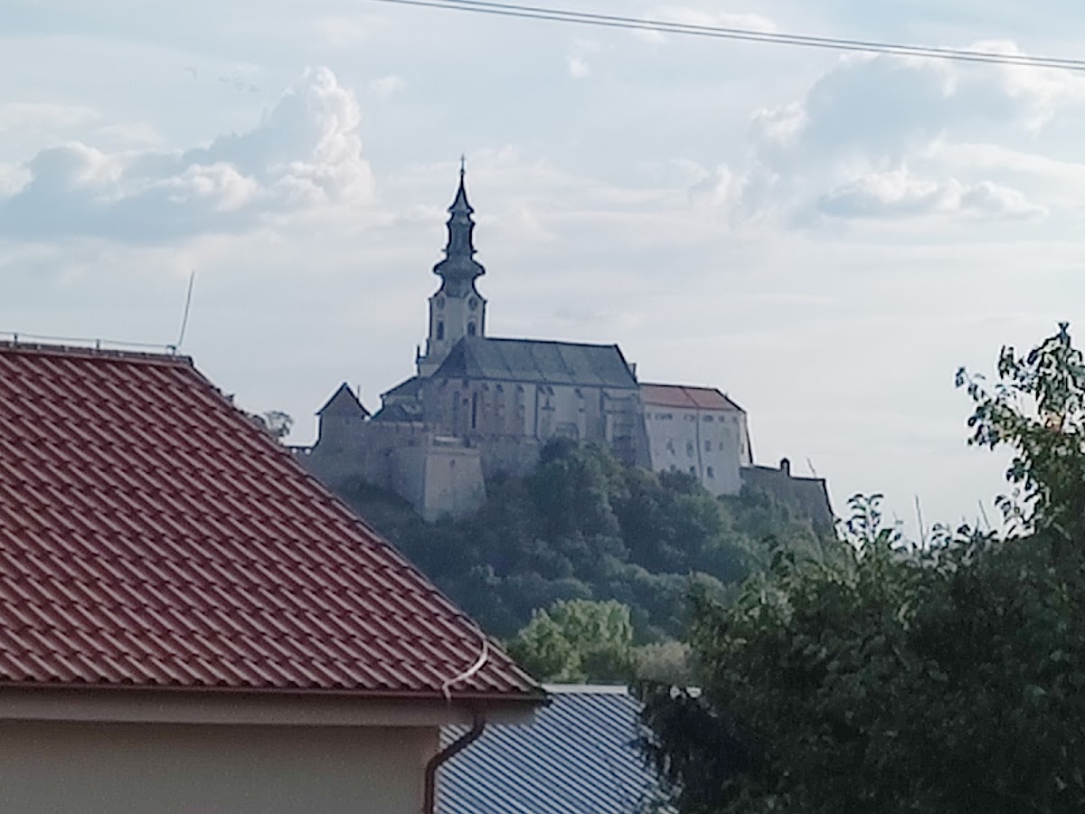 Zámocká koruna u HOFFERA